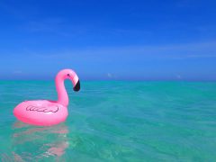 恋愛はどうにかしようとしない方がうまくいく