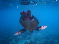 【復縁・音信不通】男性は半年後に連絡してくるの法則