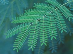 自分が変われば彼は変わるは本当だった