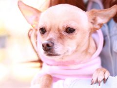 ズバリ！男性とはこんな生き物です