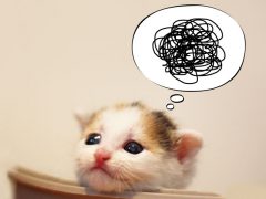 男性はあなたの言葉をそのまま受け取る